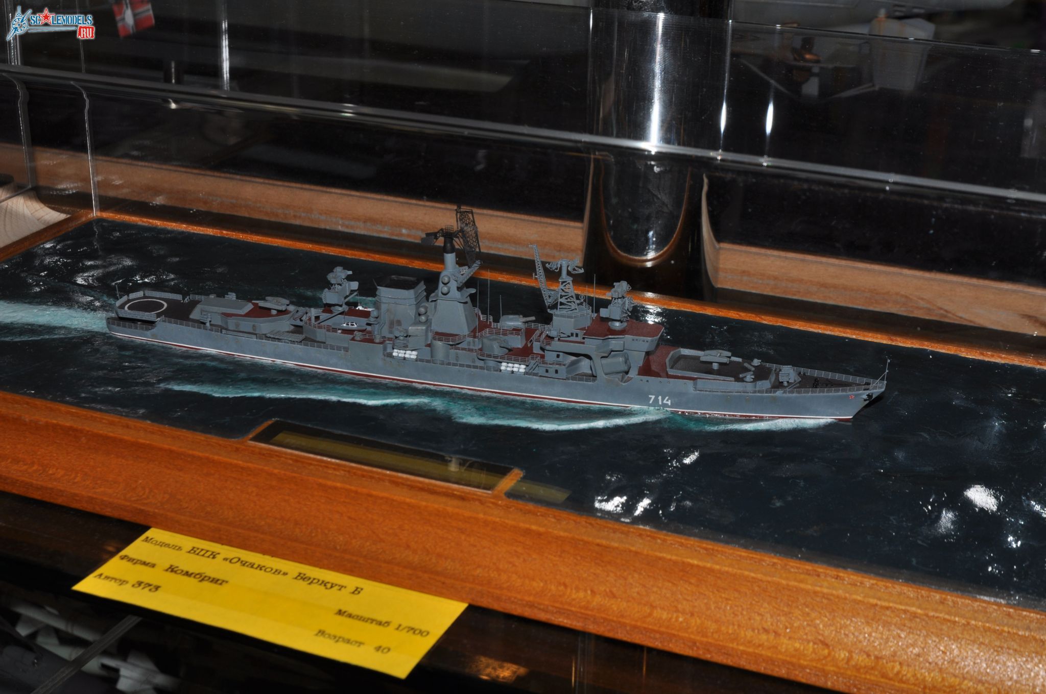 Club-TM_Fleet_700_scale_9.jpg