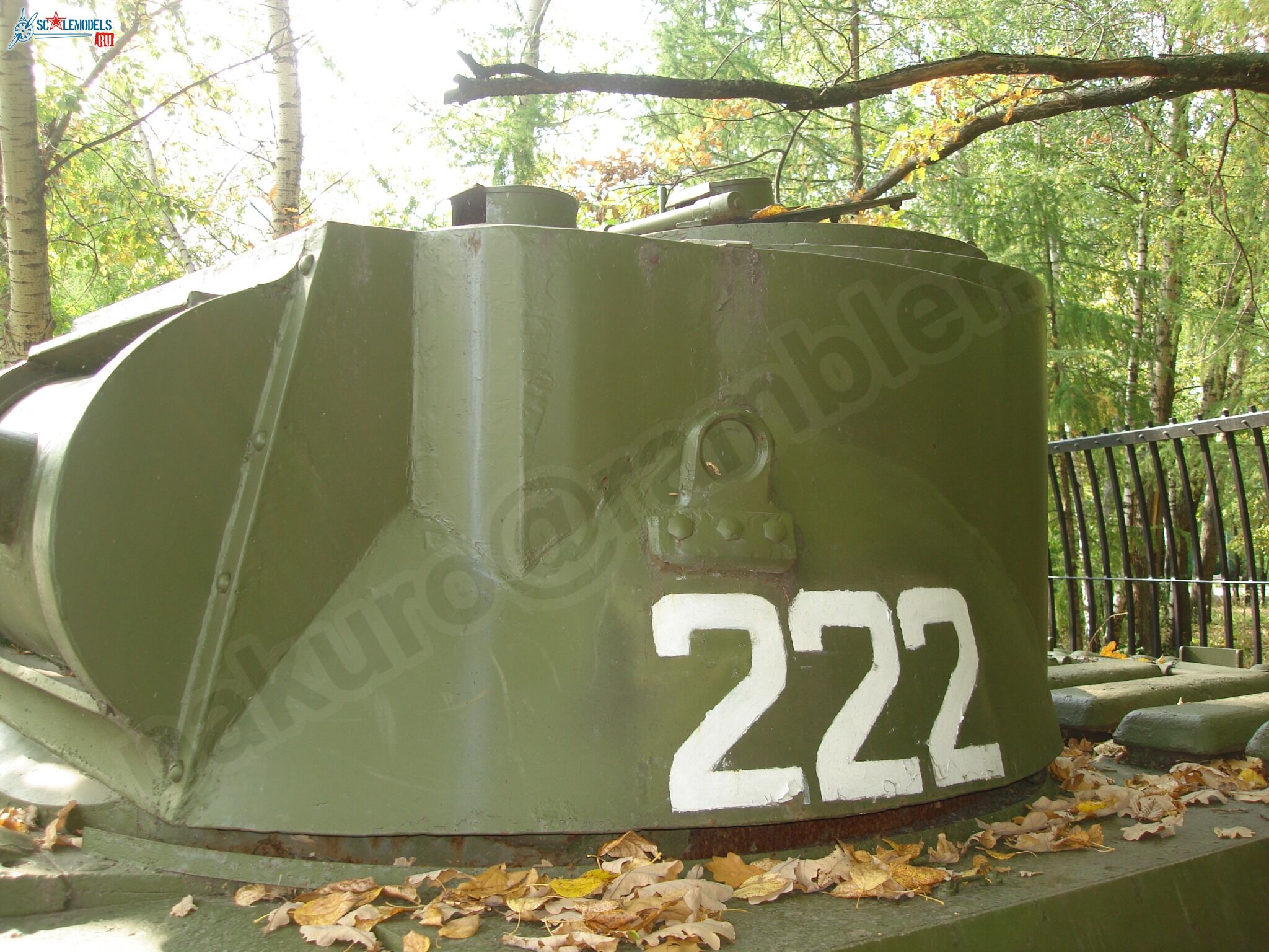 77.jpg