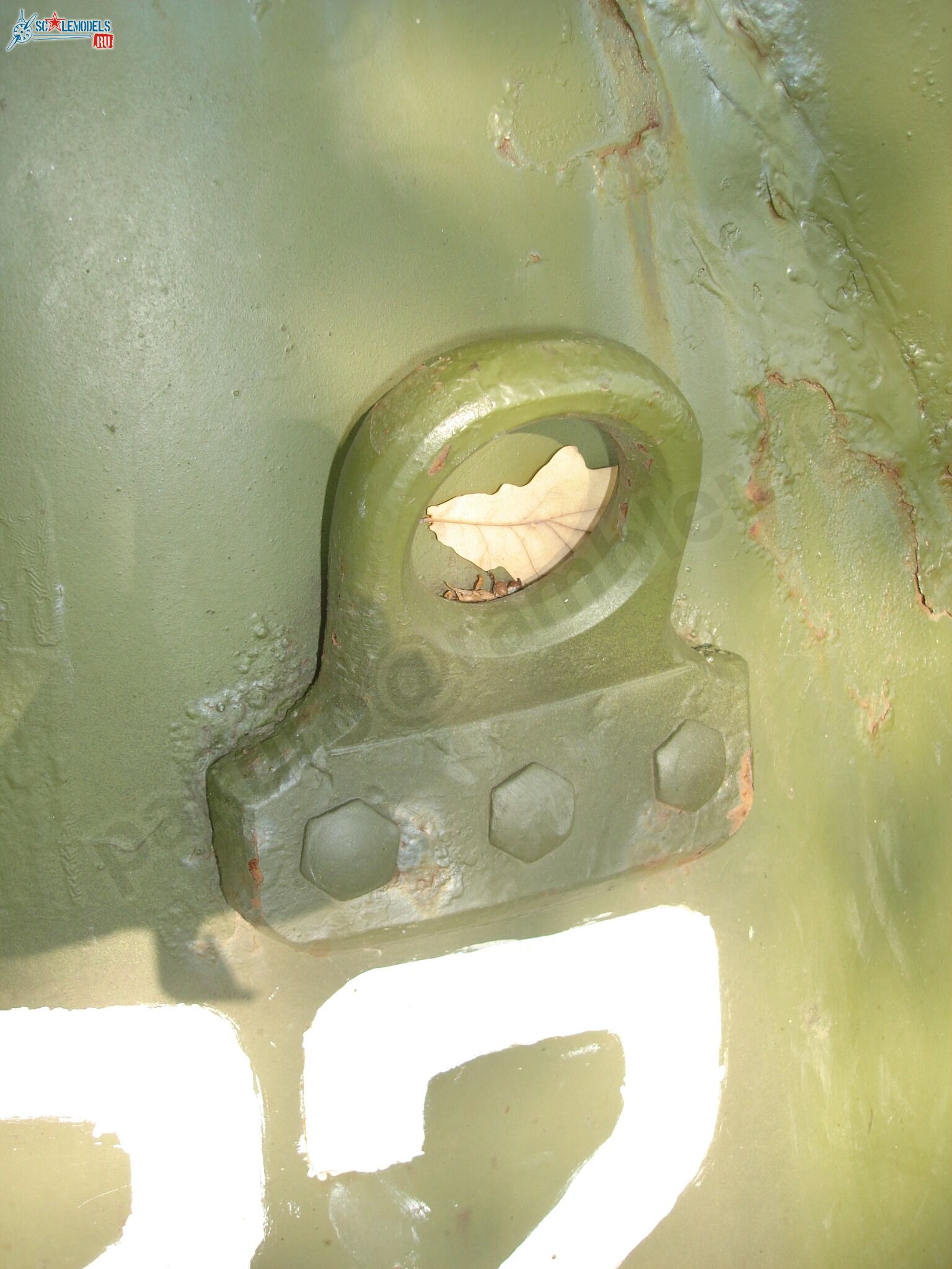 86.jpg
