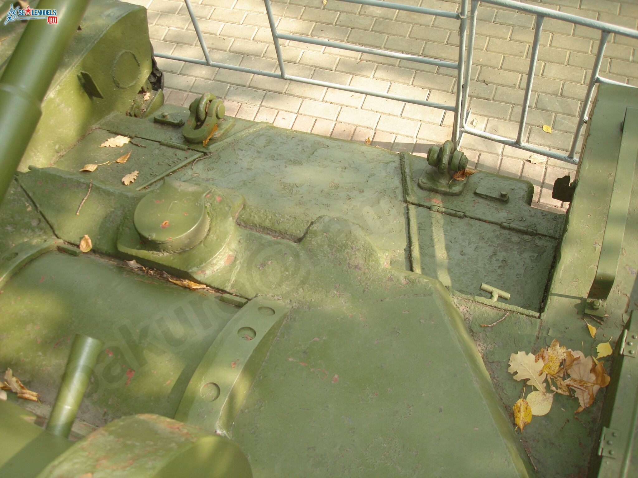 88.jpg