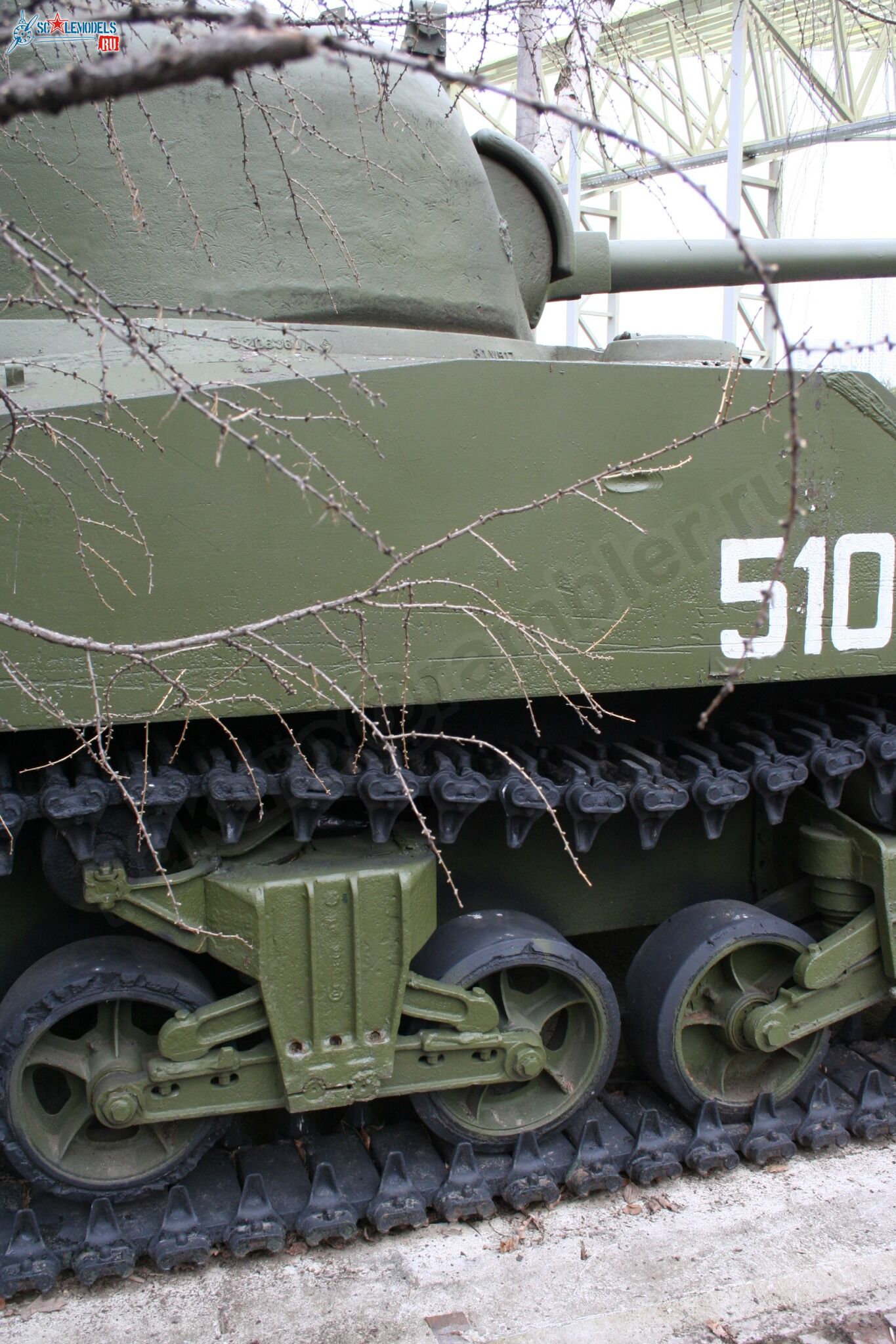 58.jpg