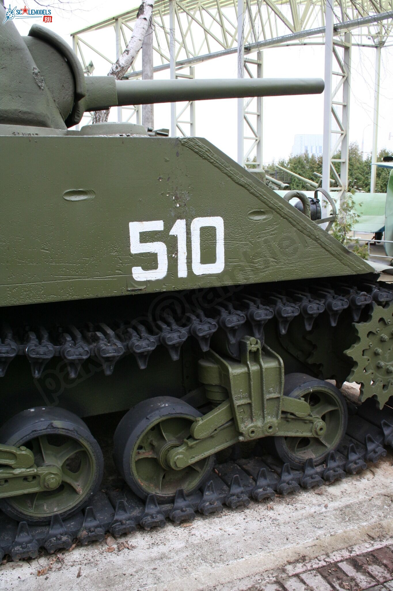 59.jpg