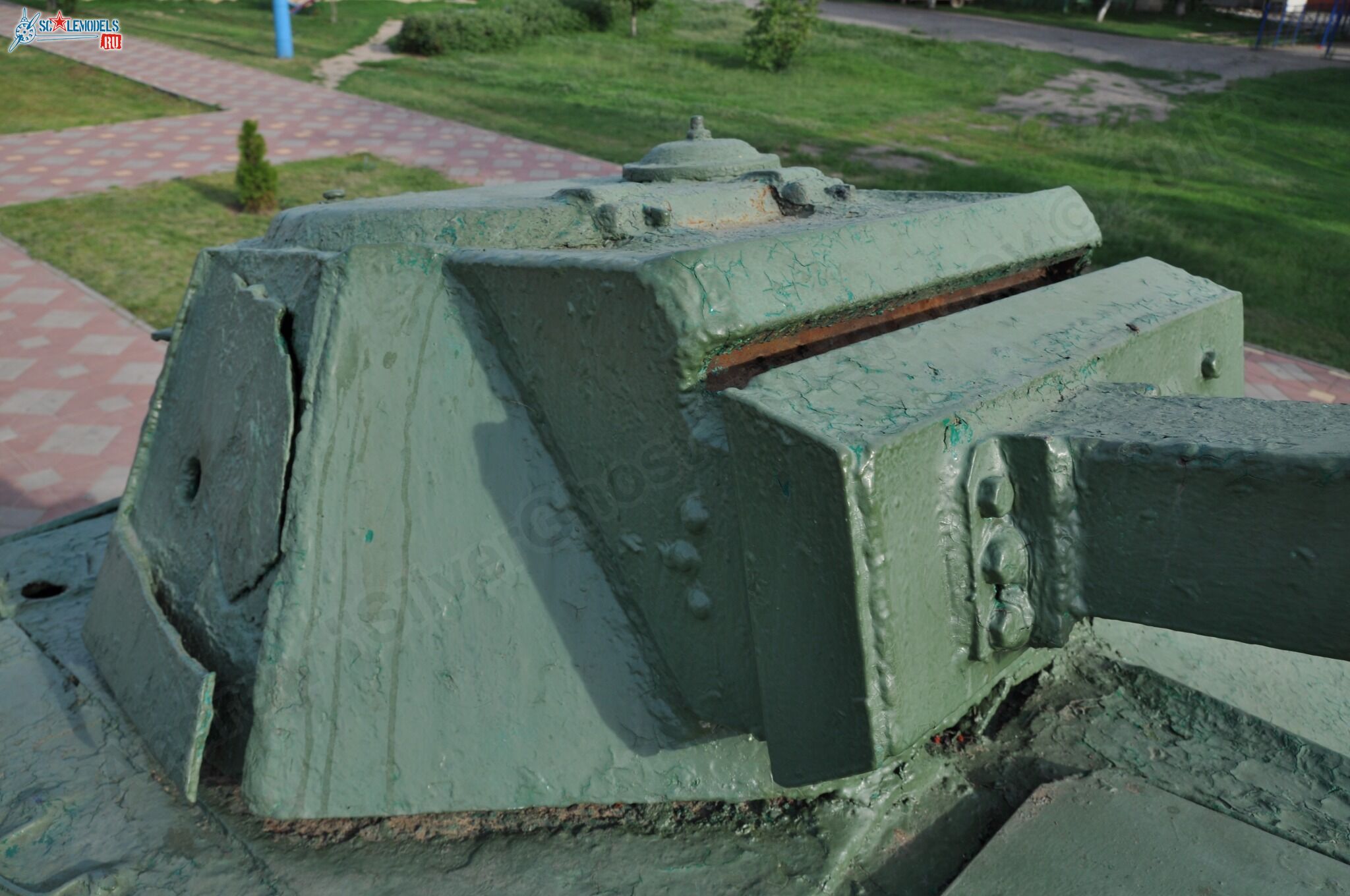 59.jpg