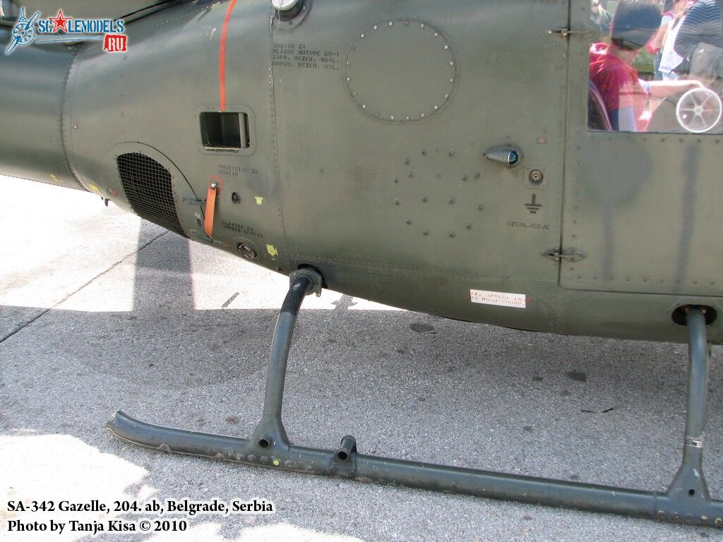 Gazela-035.jpg