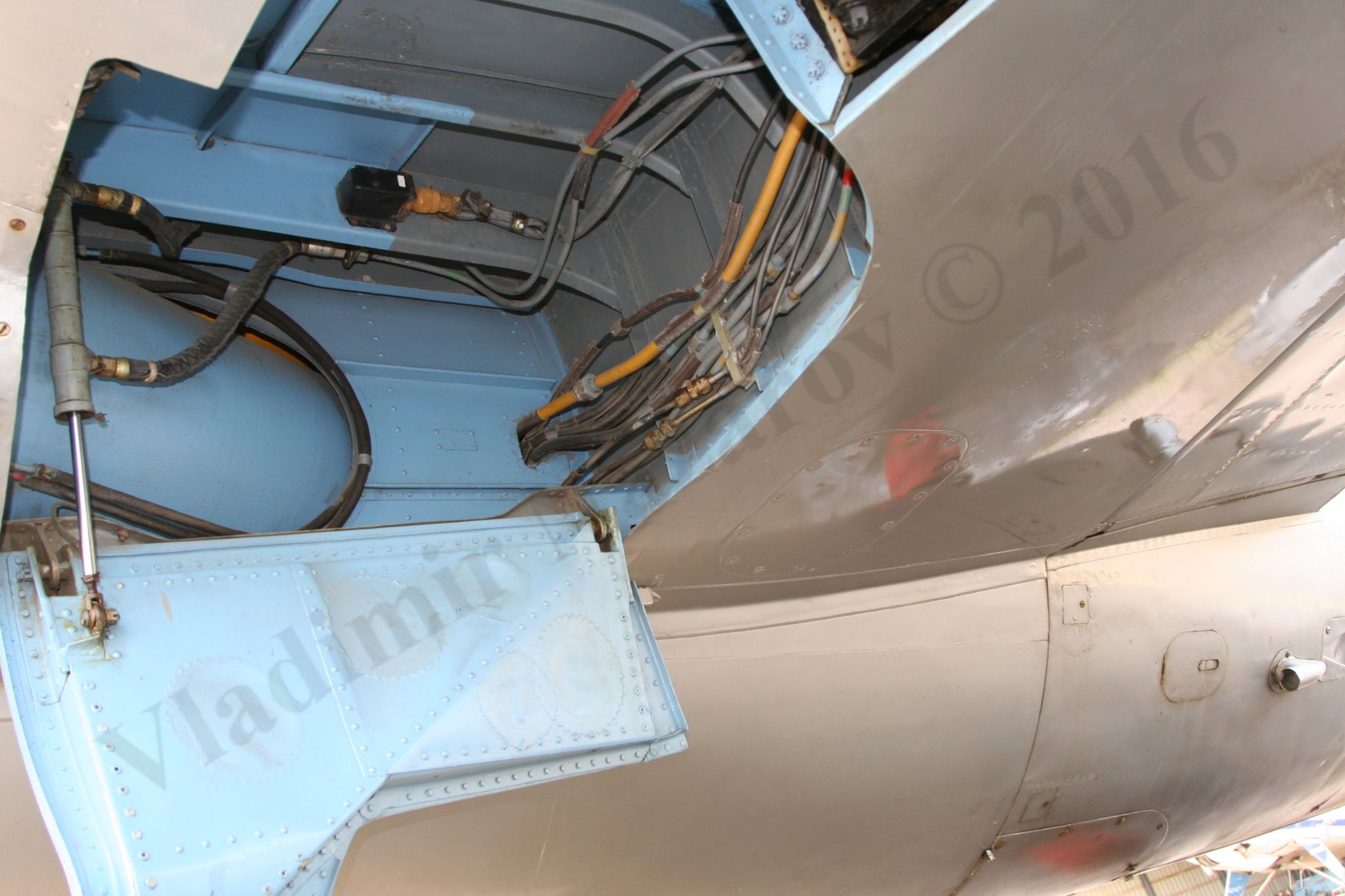 Aero_L-29_Rzhevka_131.jpg