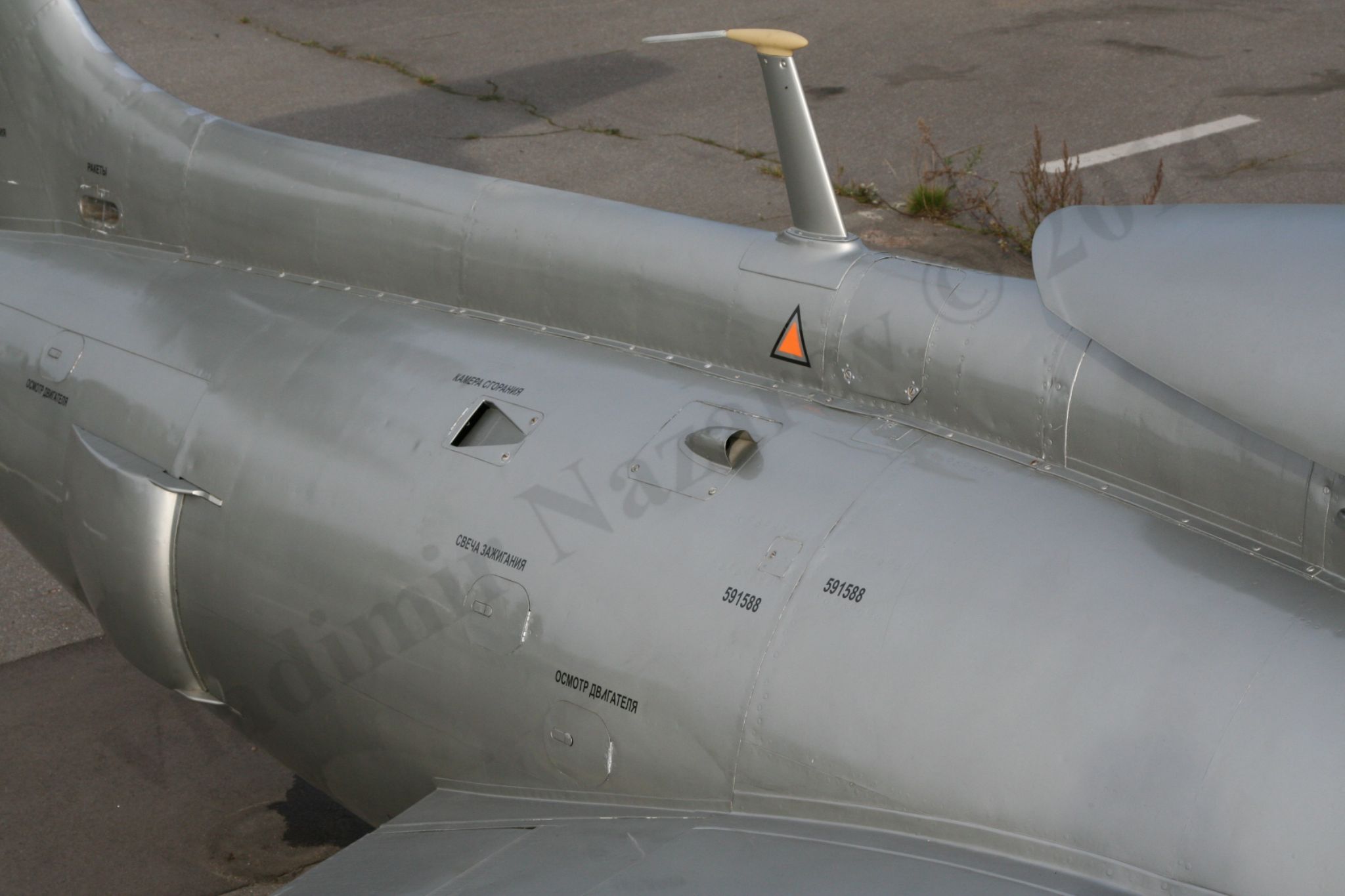 Aero_L-29_Rzhevka_178.jpg