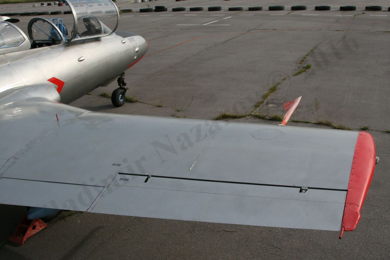 Aero_L-29_Rzhevka_213.jpg