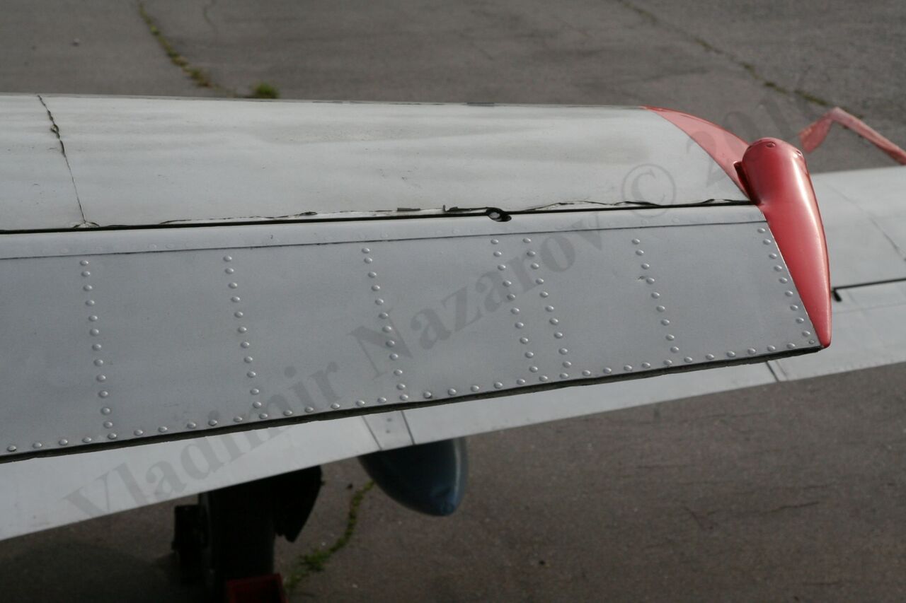 Aero_L-29_Rzhevka_223.jpg