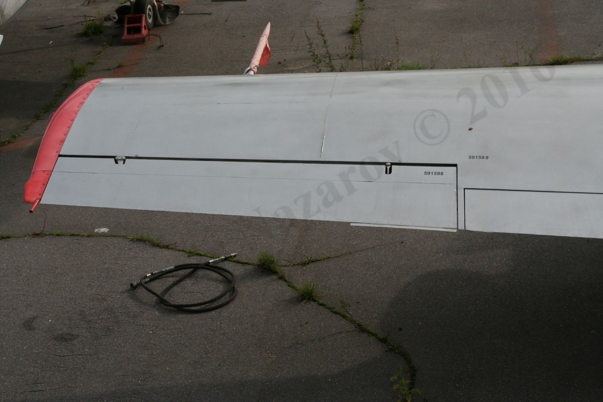 Aero_L-29_Rzhevka_229.jpg