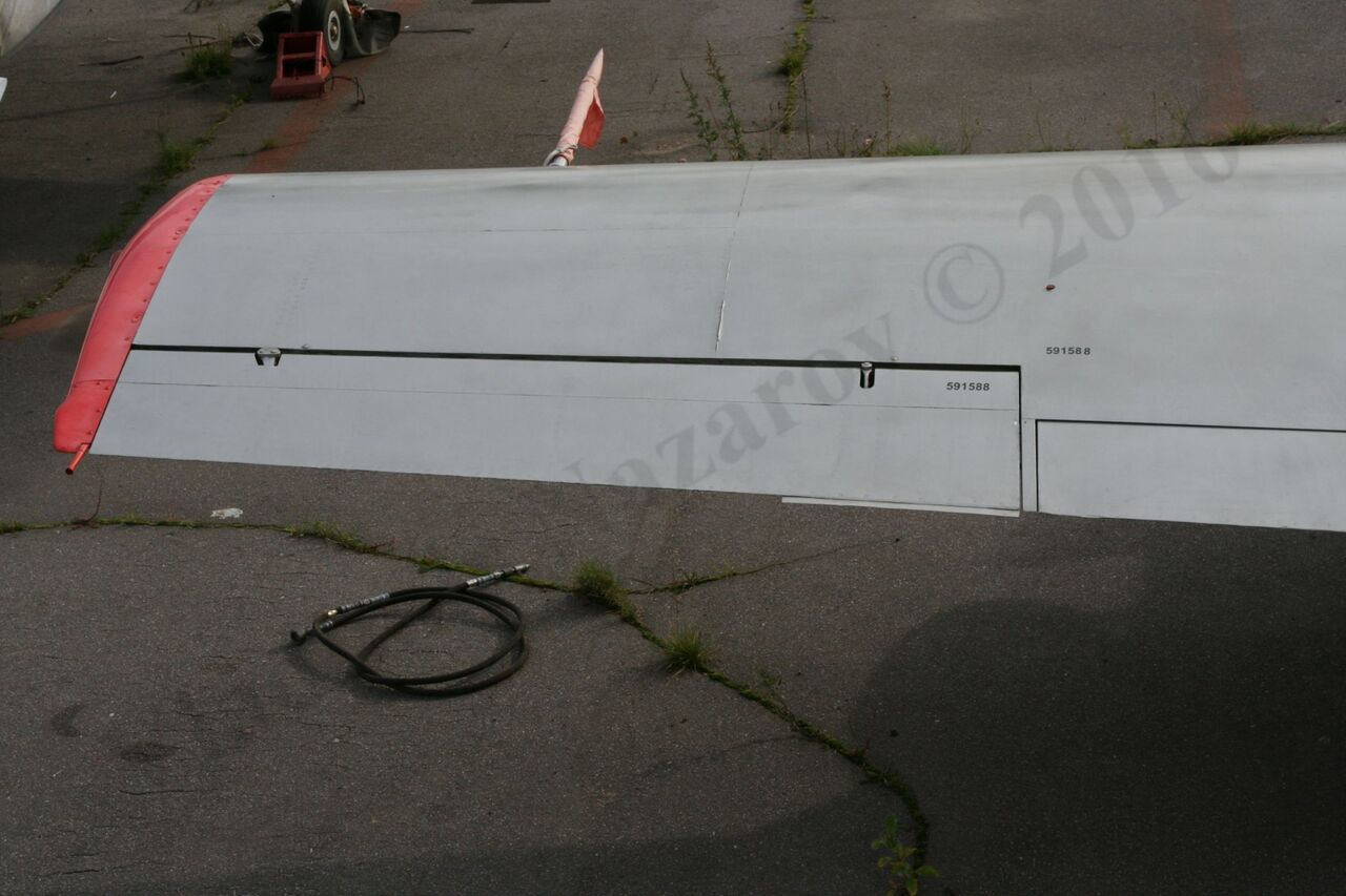 Aero_L-29_Rzhevka_229.jpg