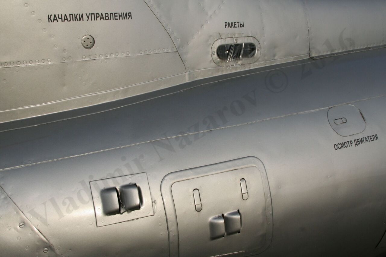 Aero_L-29_Rzhevka_346.jpg