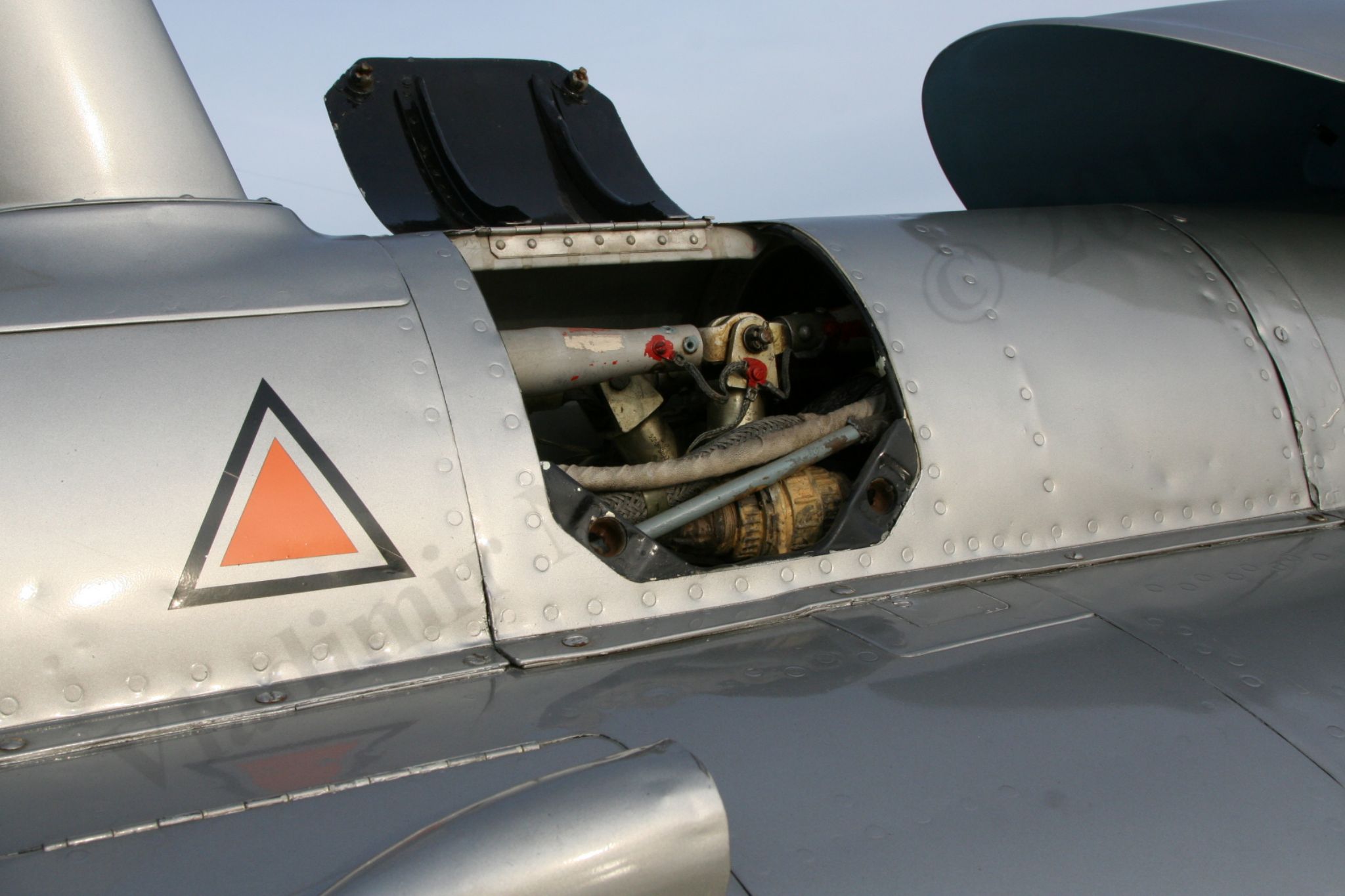 Aero_L-29_Rzhevka_363.jpg