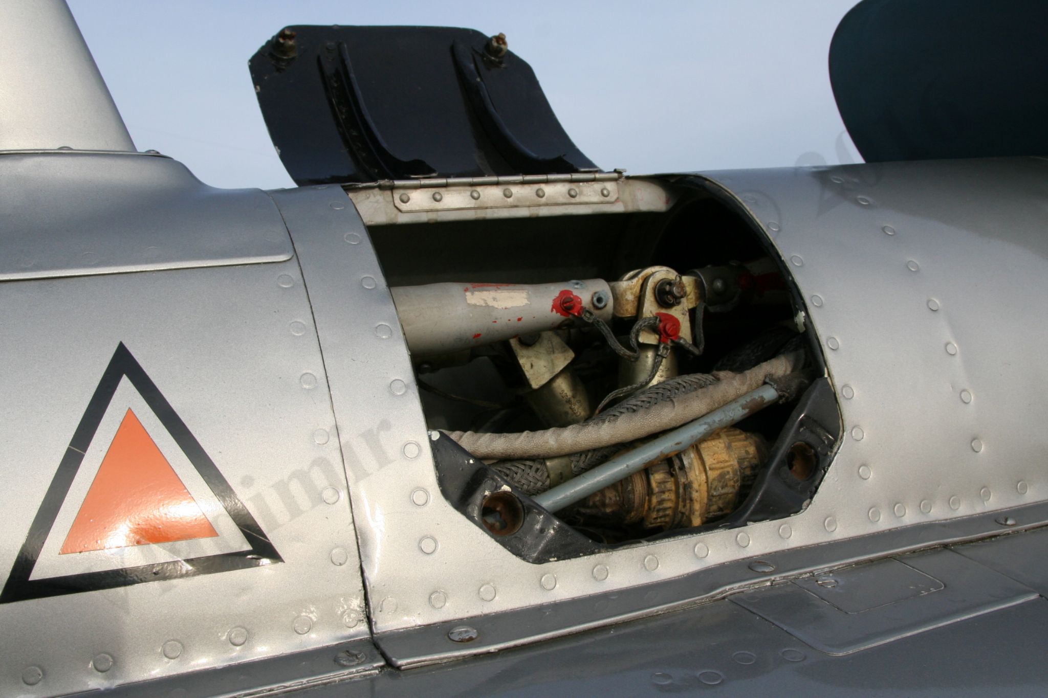 Aero_L-29_Rzhevka_364.jpg