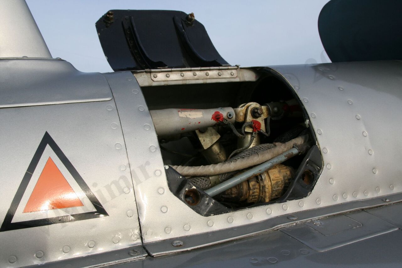 Aero_L-29_Rzhevka_364.jpg
