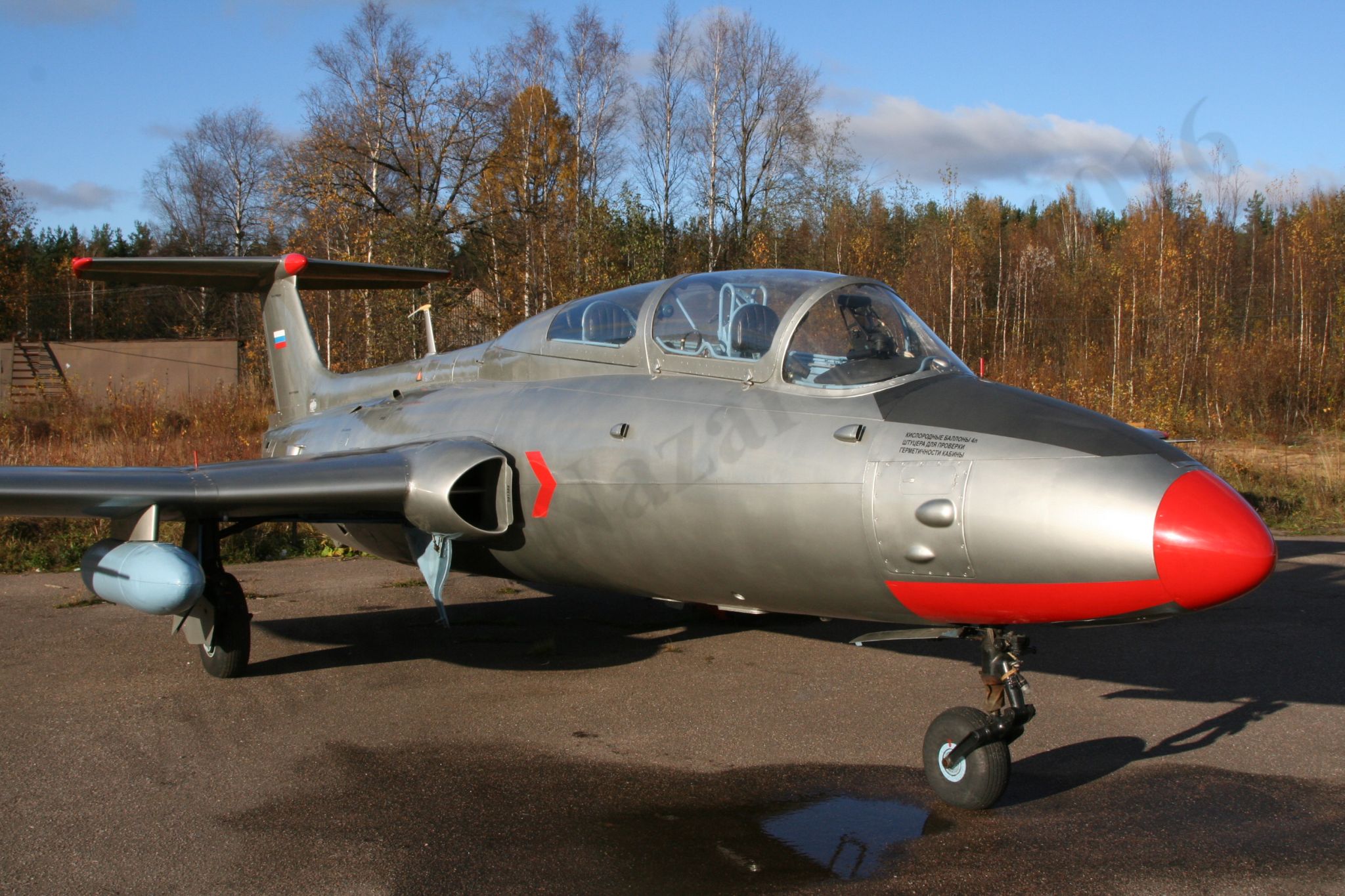 Aero_L-29_Rzhevka_421.jpg