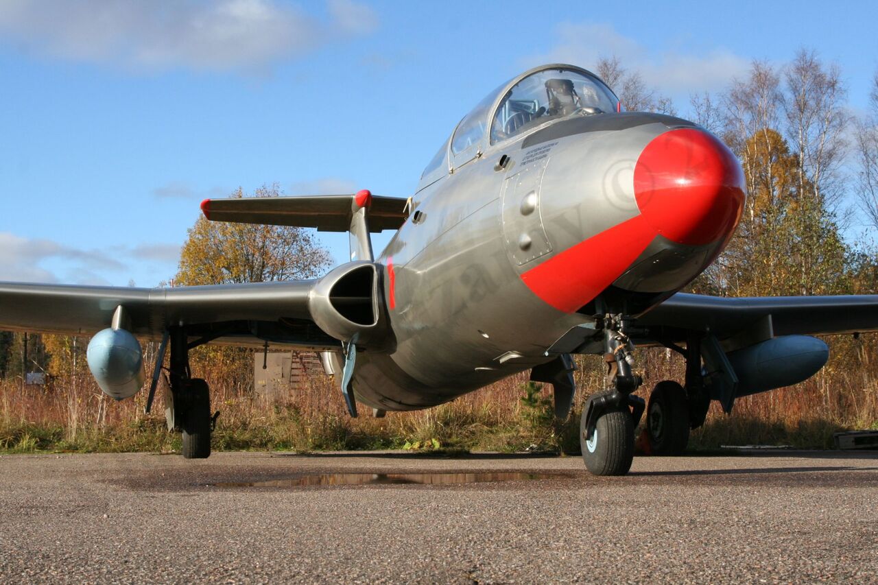 Aero_L-29_Rzhevka_424.jpg