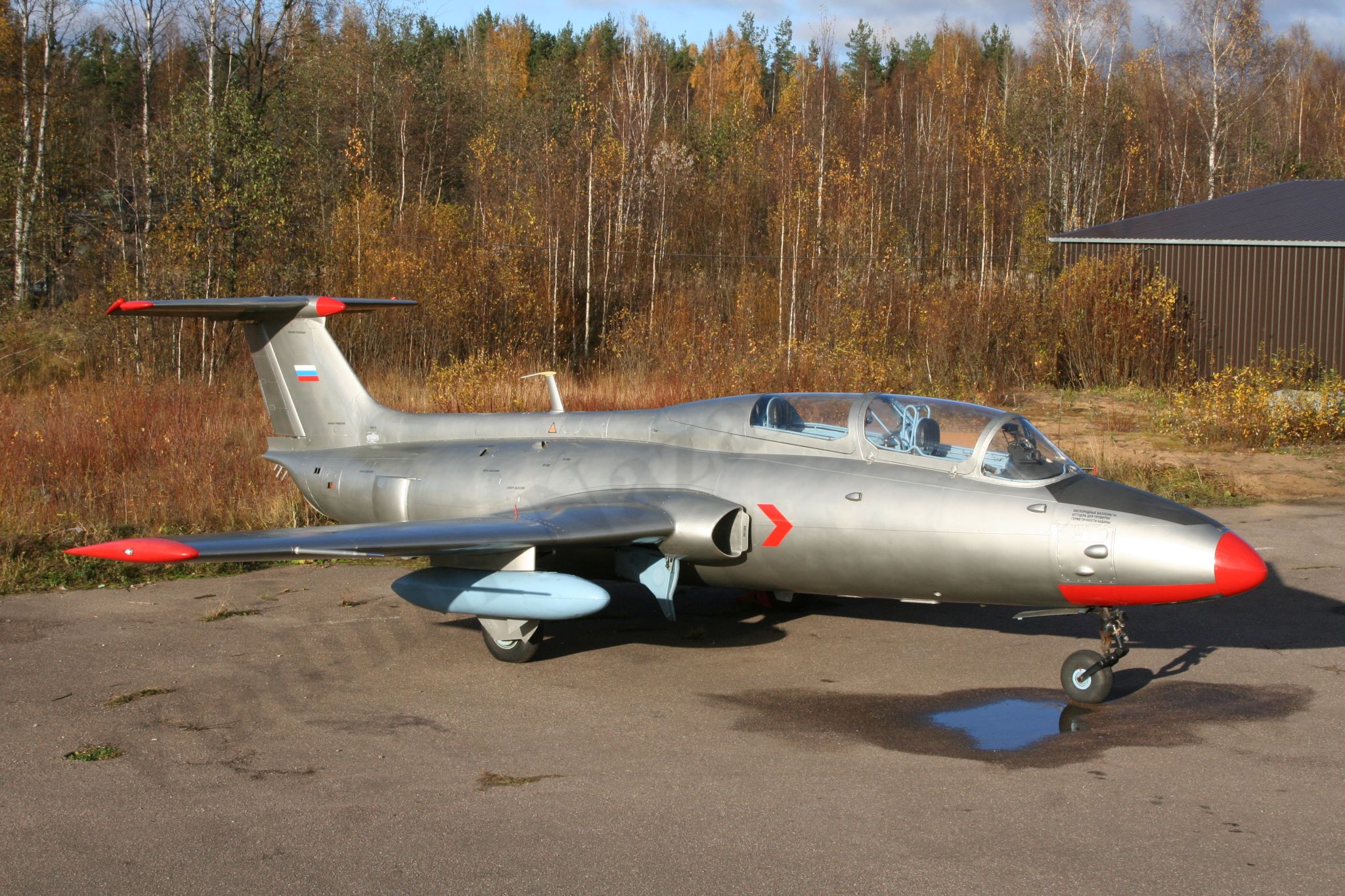 Aero_L-29_Rzhevka_432.jpg