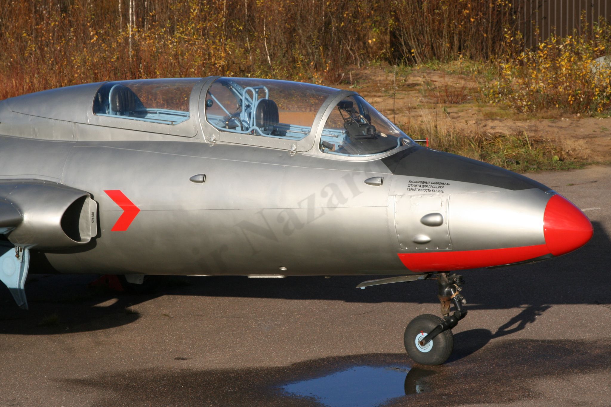Aero_L-29_Rzhevka_434.jpg
