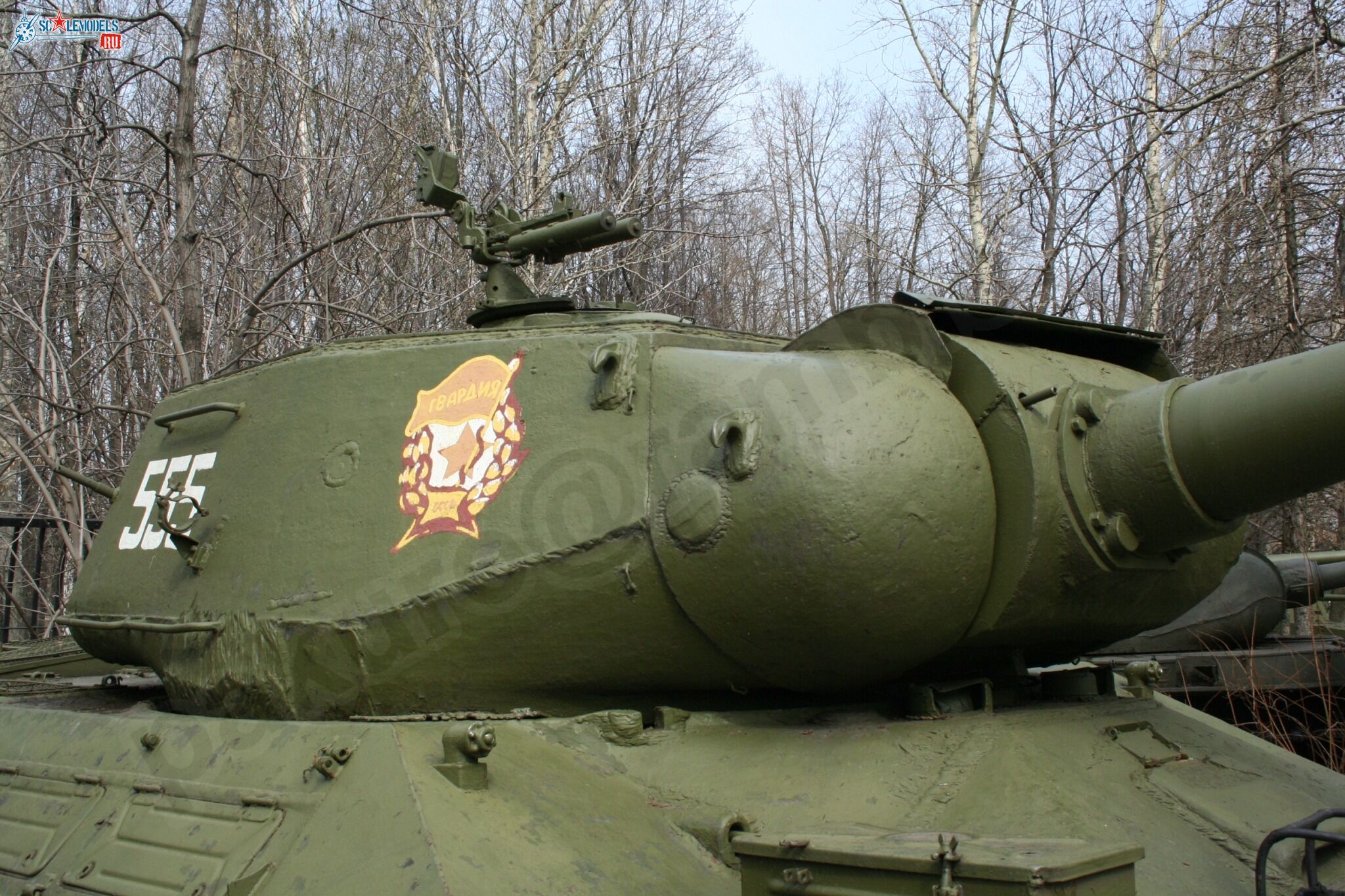 73.jpg