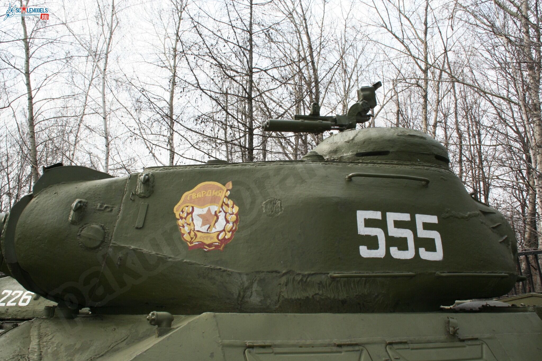 77.jpg