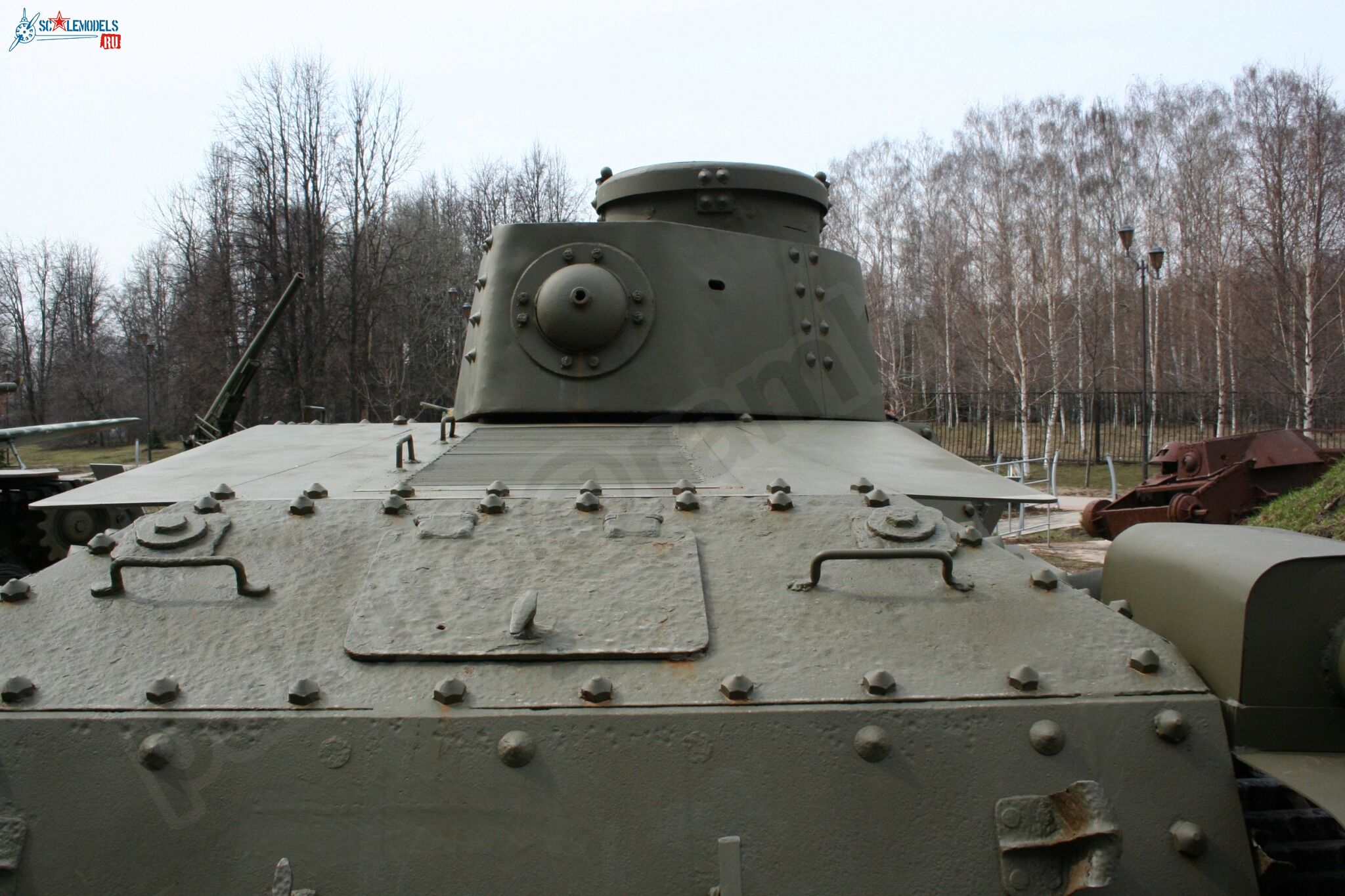 36.jpg