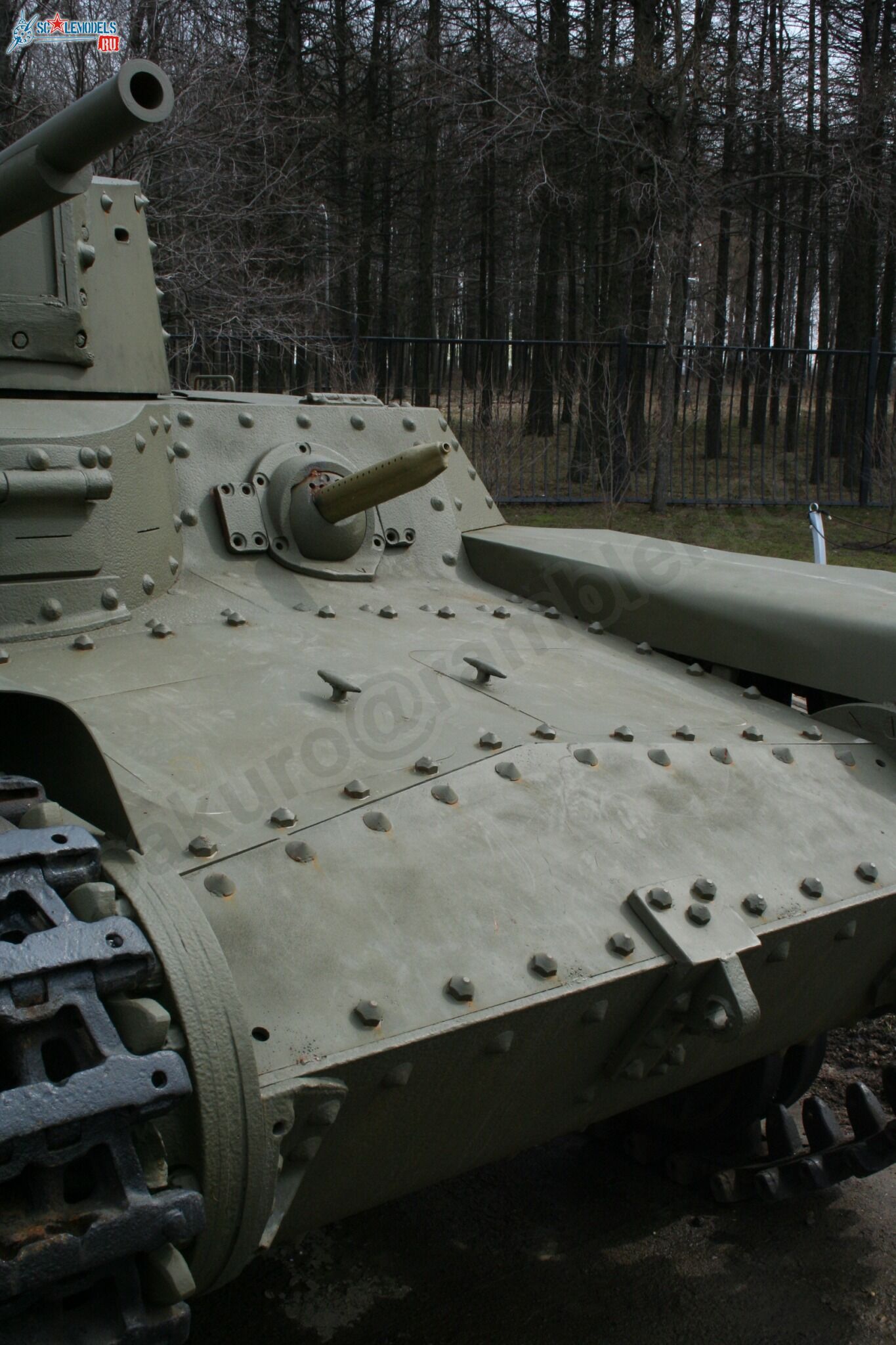 54.jpg
