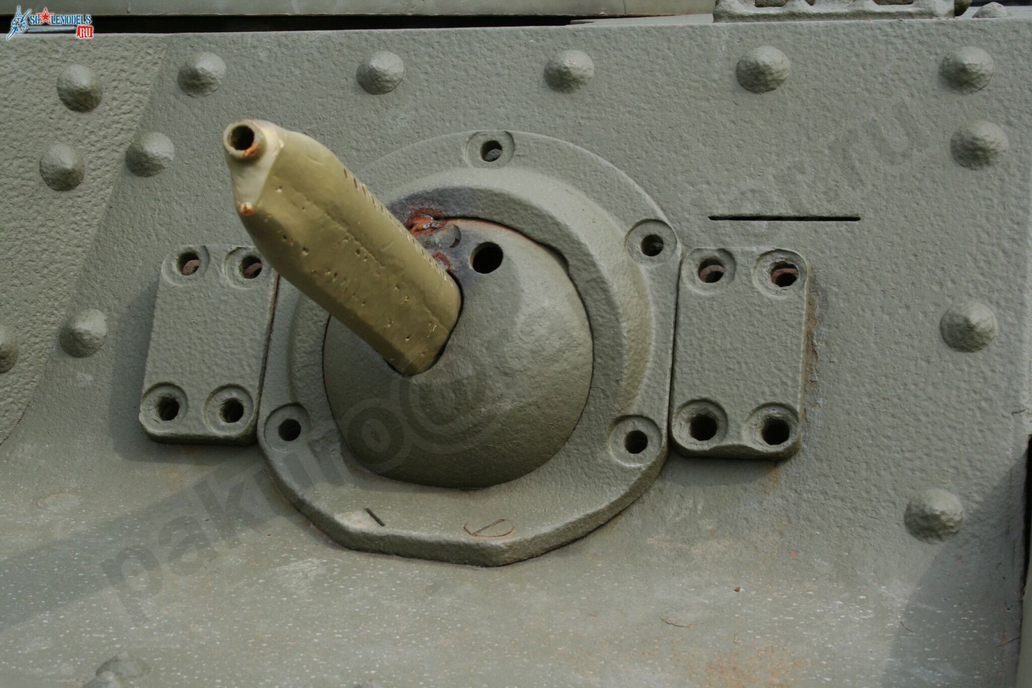 64.jpg