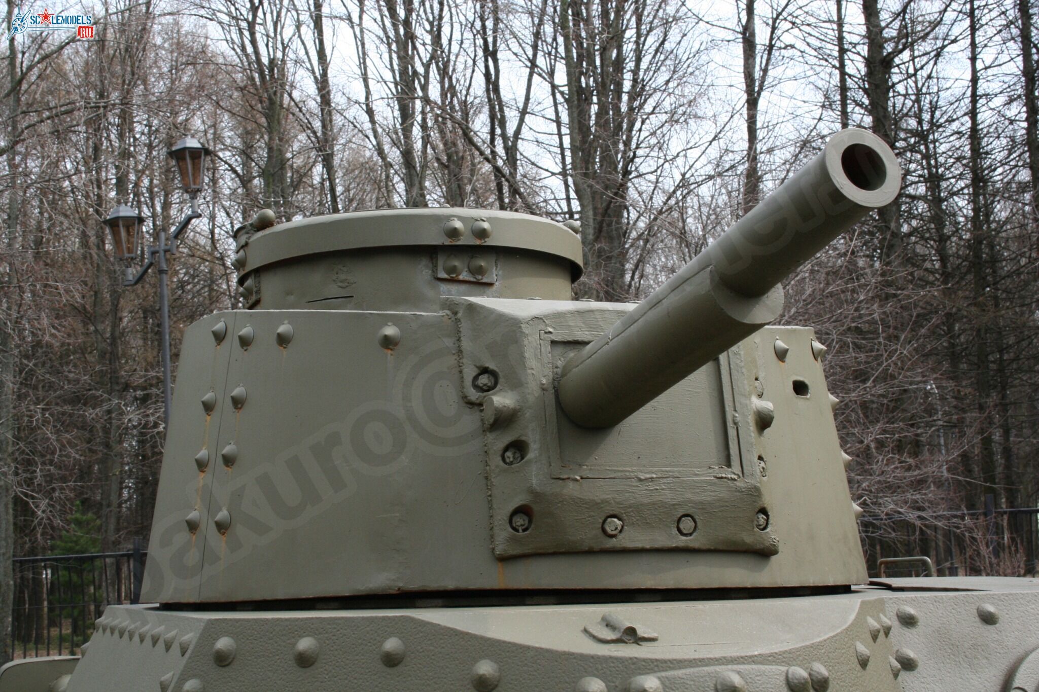 67.jpg