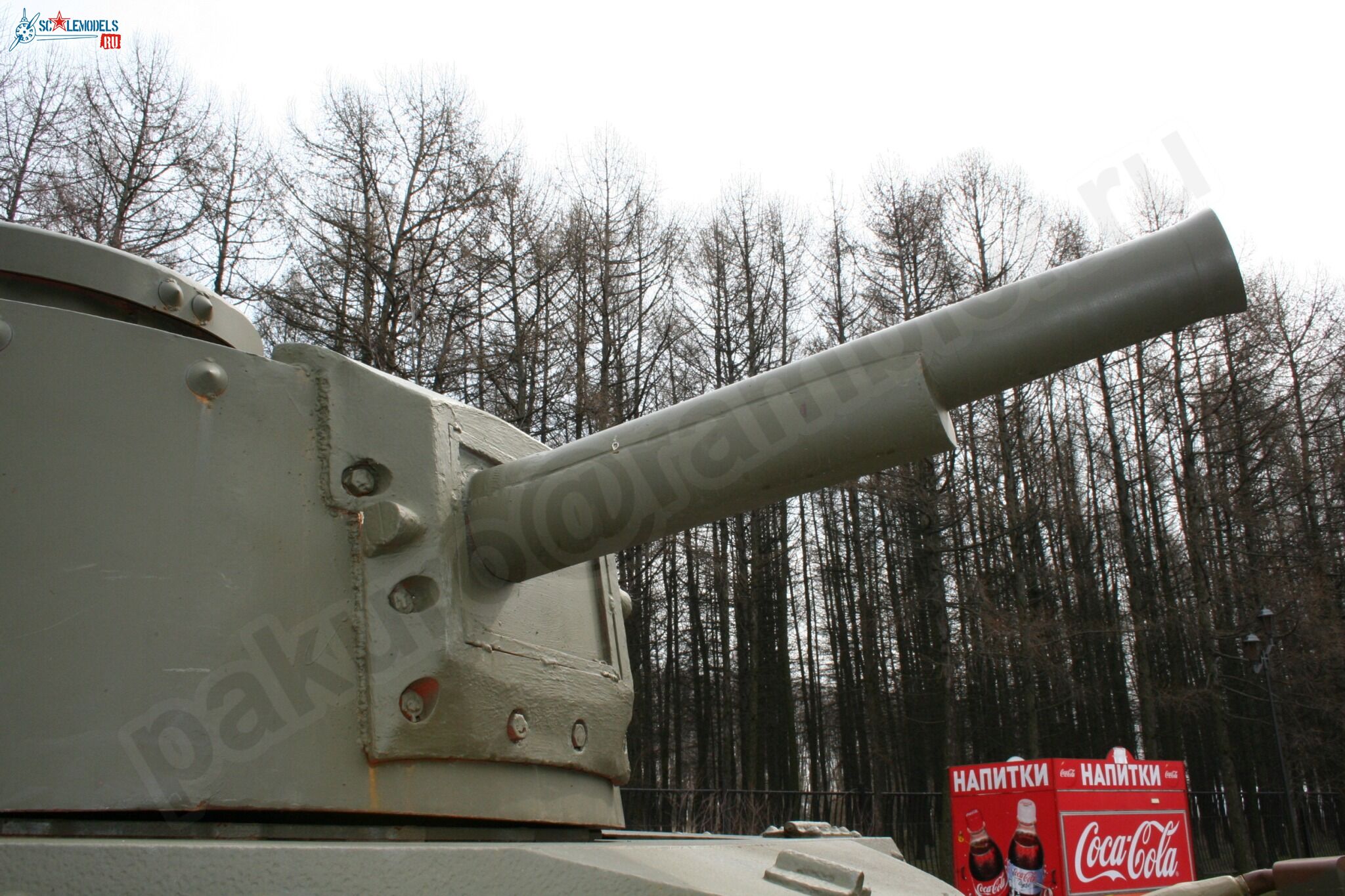 79.jpg