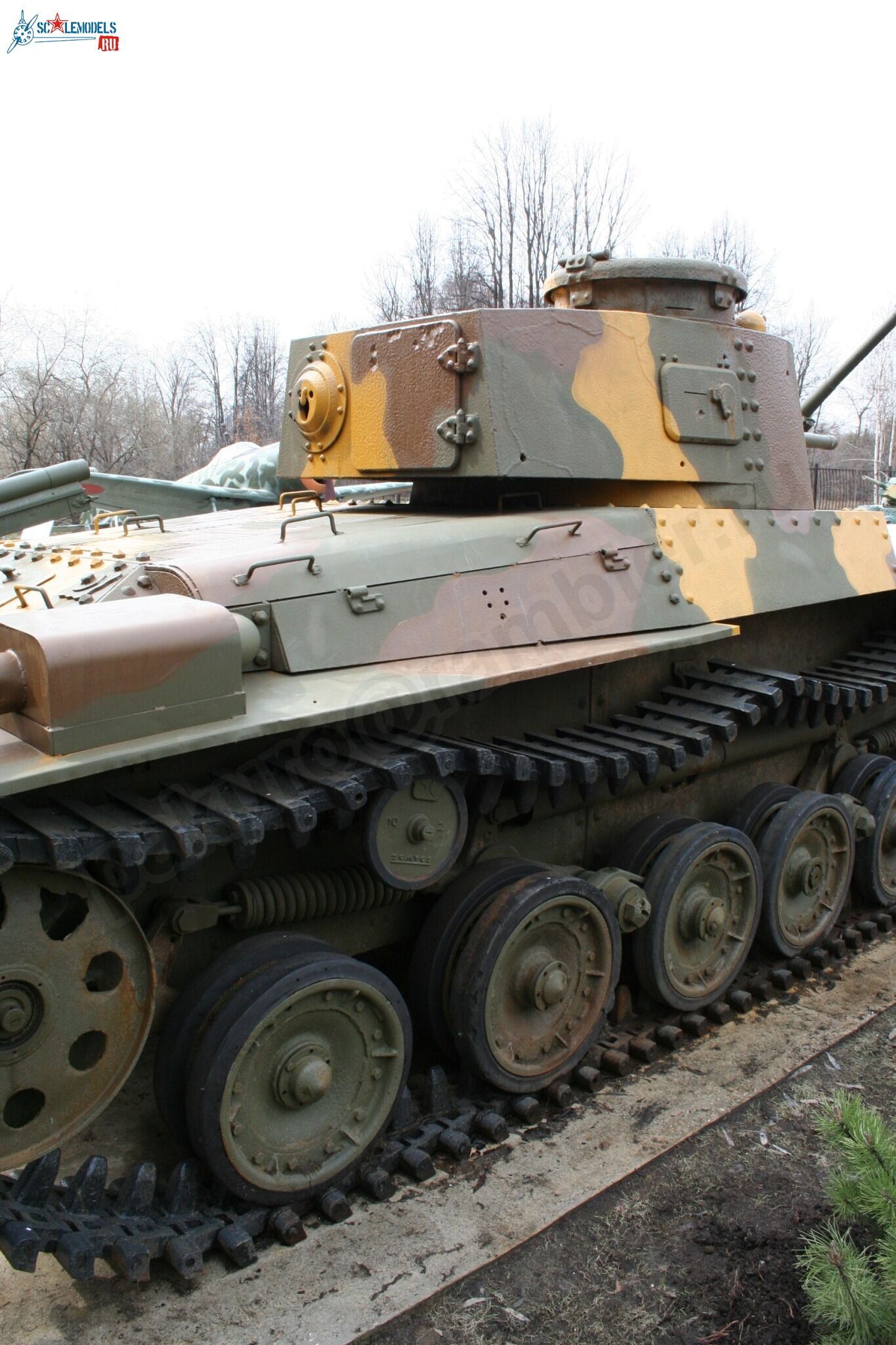 46.jpg