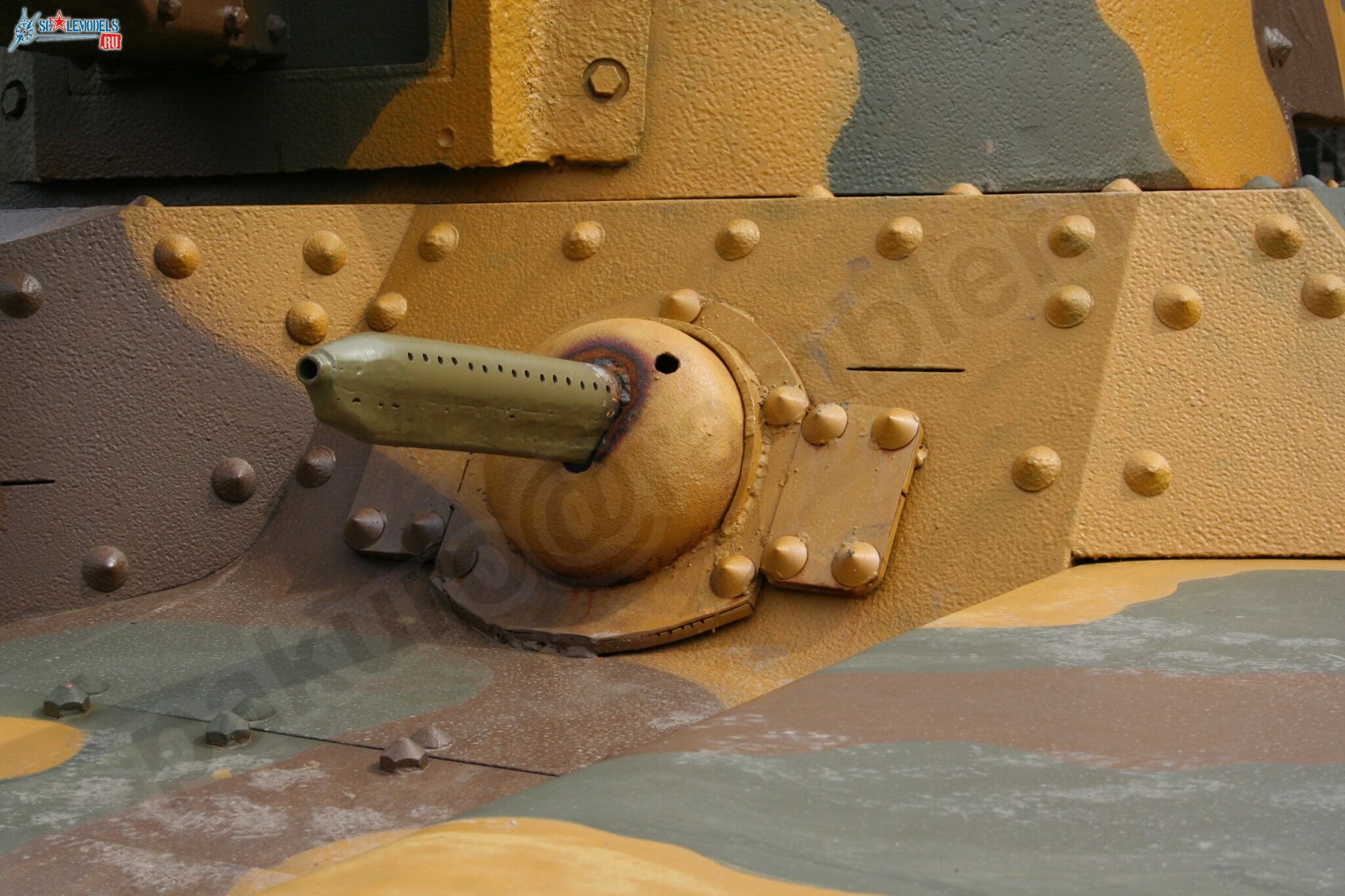 79.jpg