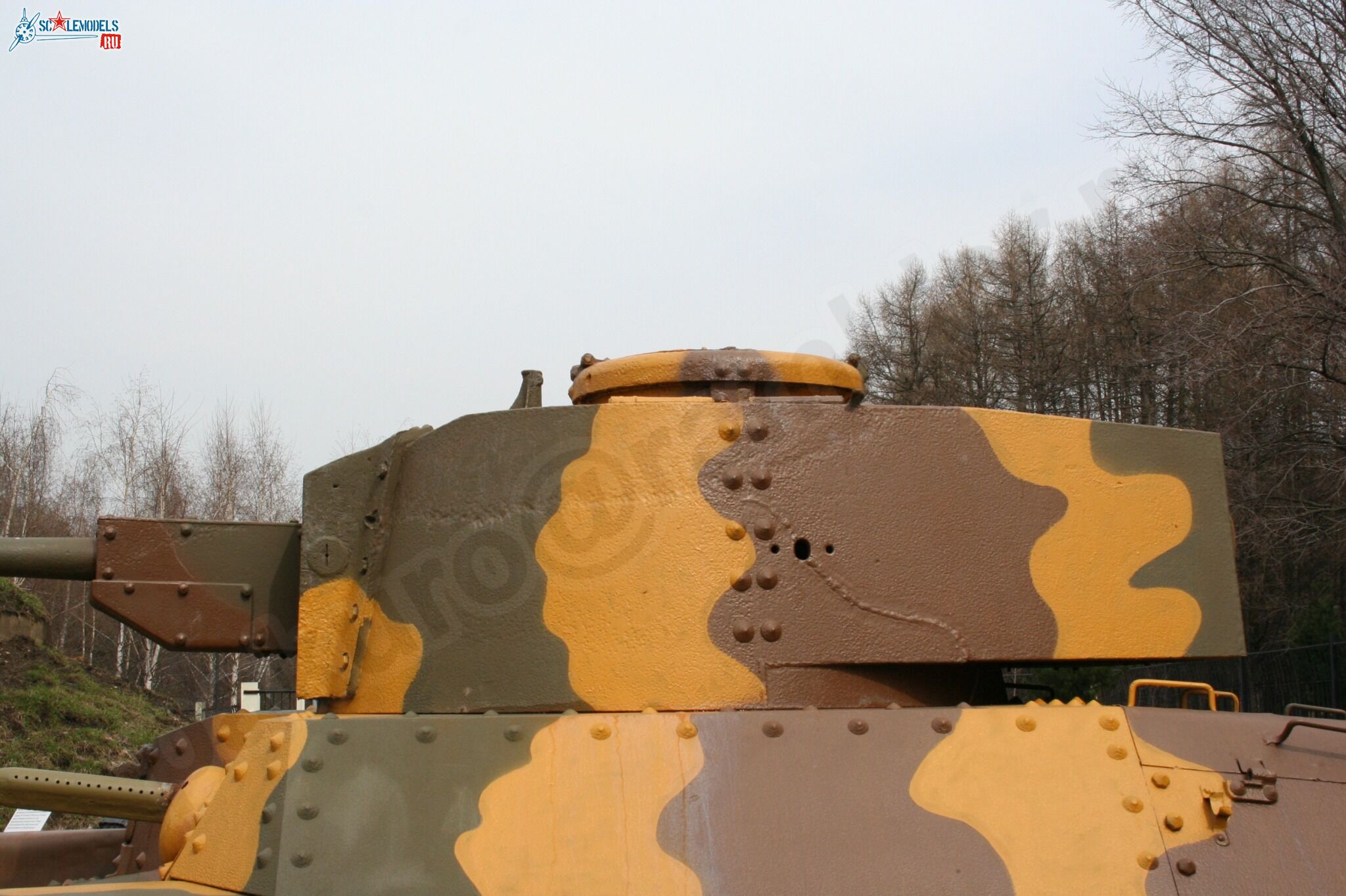 81.jpg