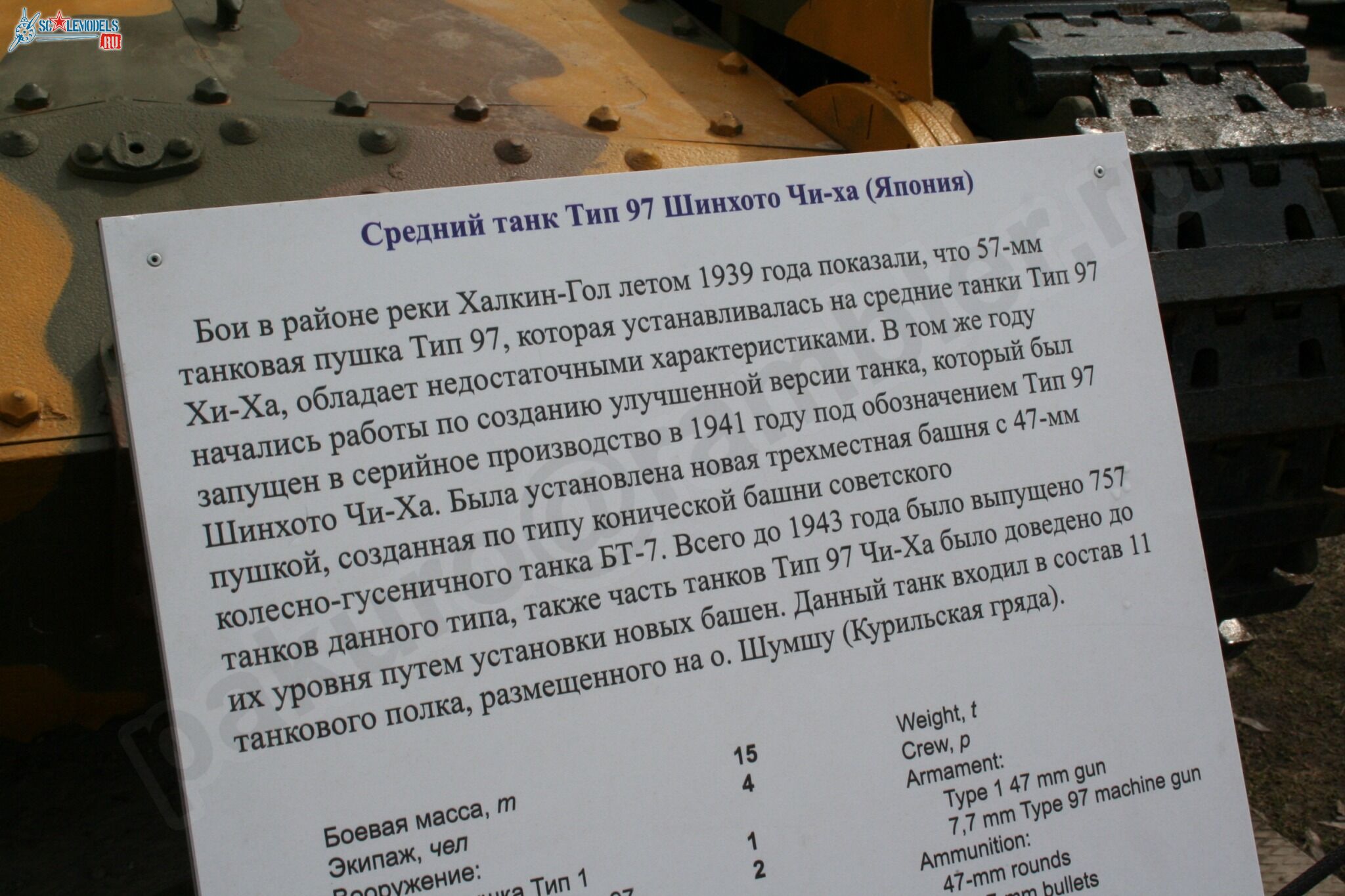 91.jpg