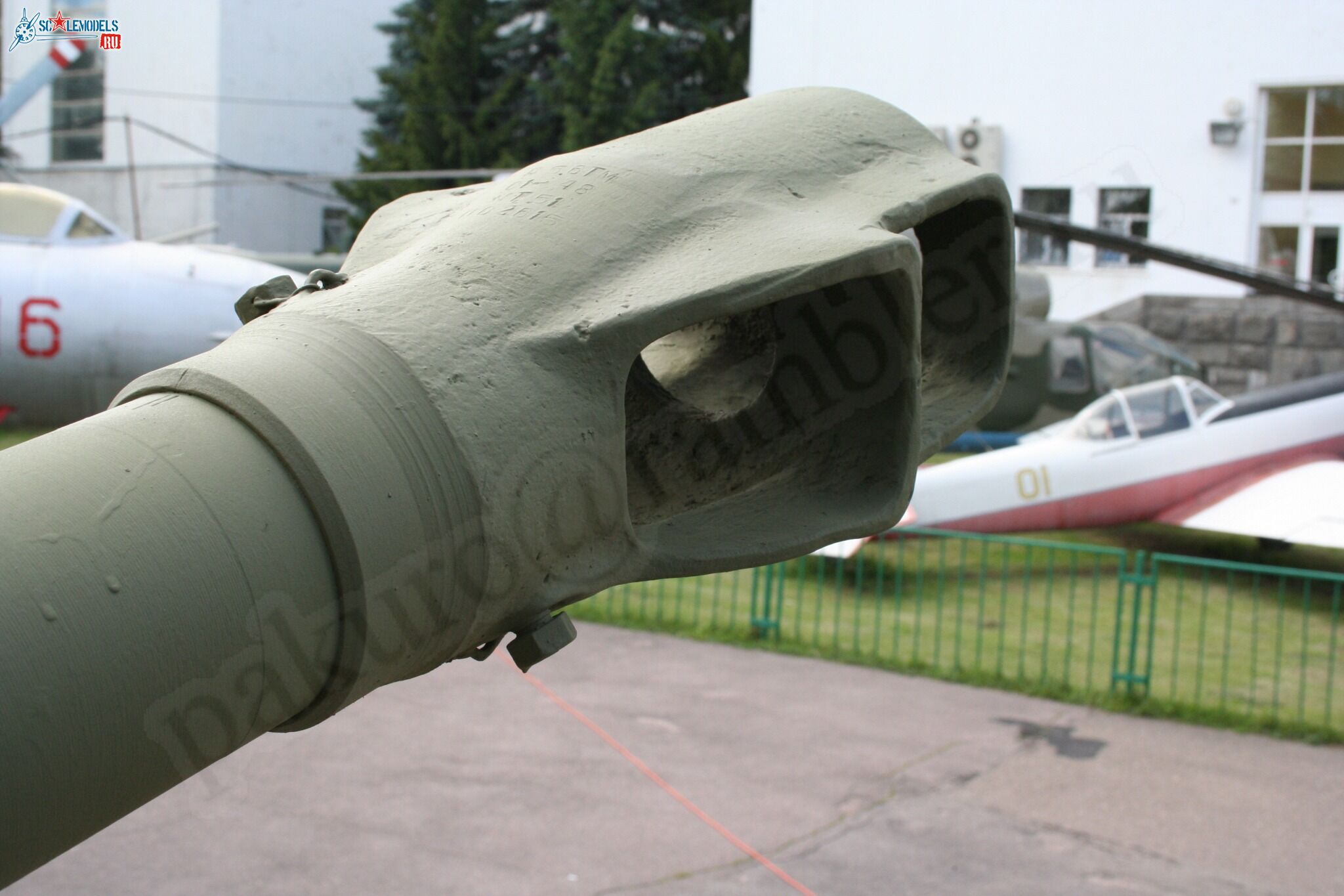 131.jpg