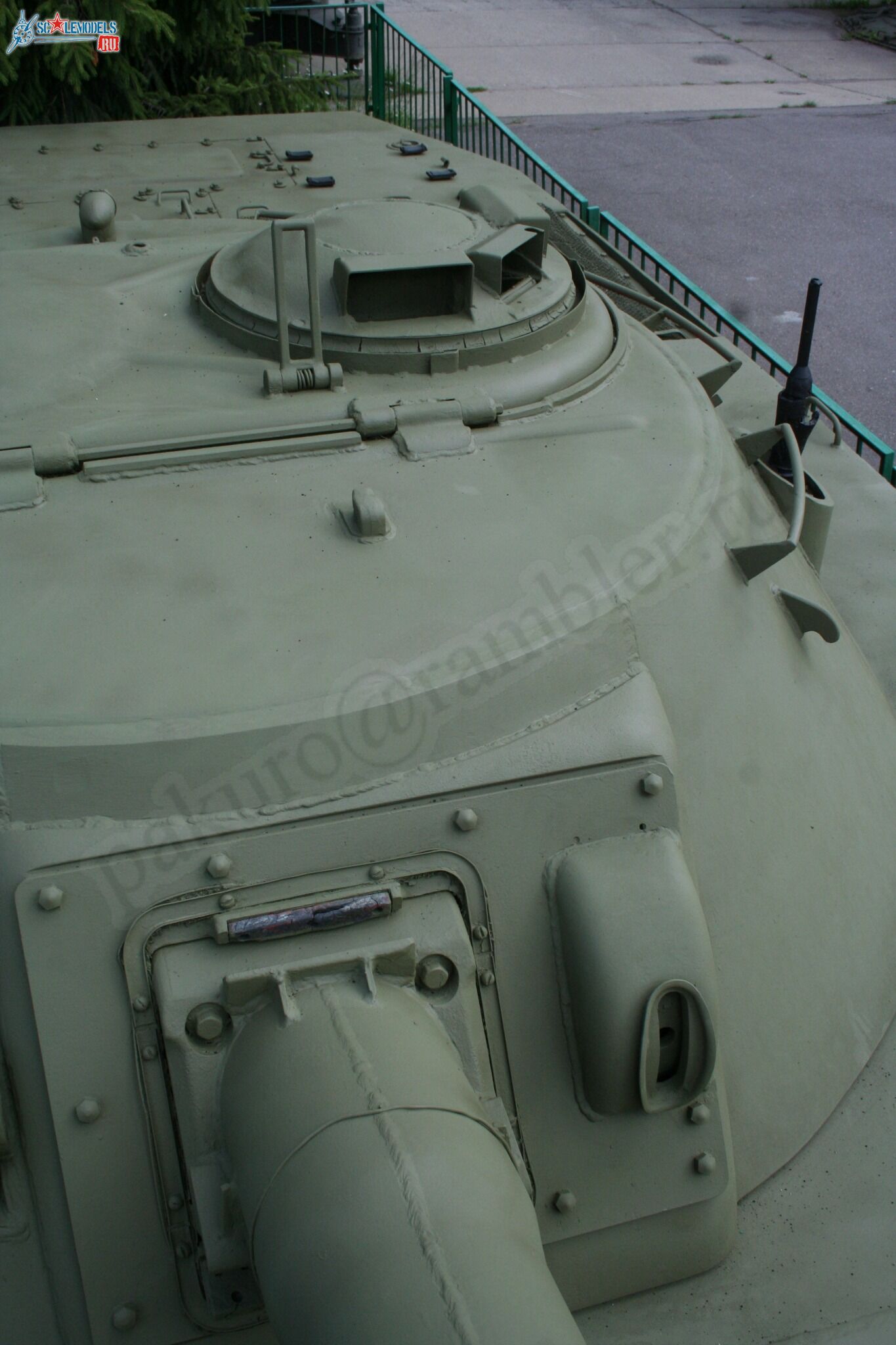 137.jpg