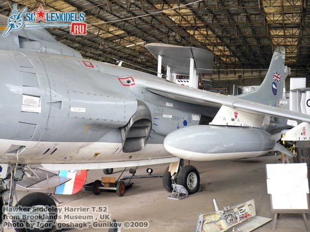 Harrier T.52 (3).jpg