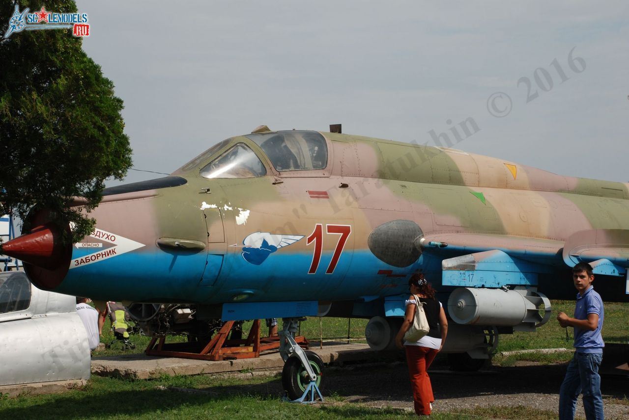 Taganrog_Aviation_Museum_22.jpg