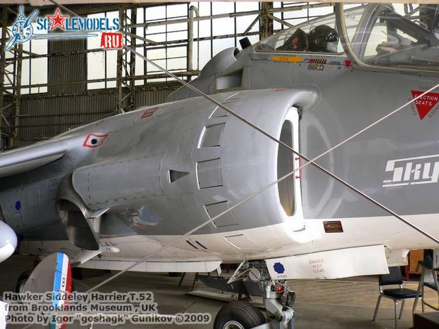 Harrier T.52 (7).jpg