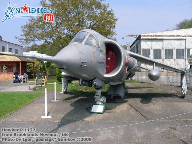 Hawker P.1127 (2).jpg