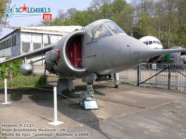 Hawker P.1127.jpg