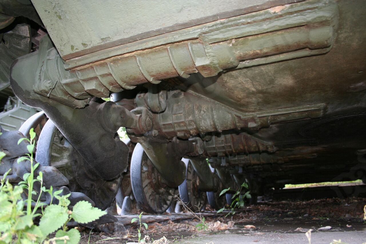 55.jpg