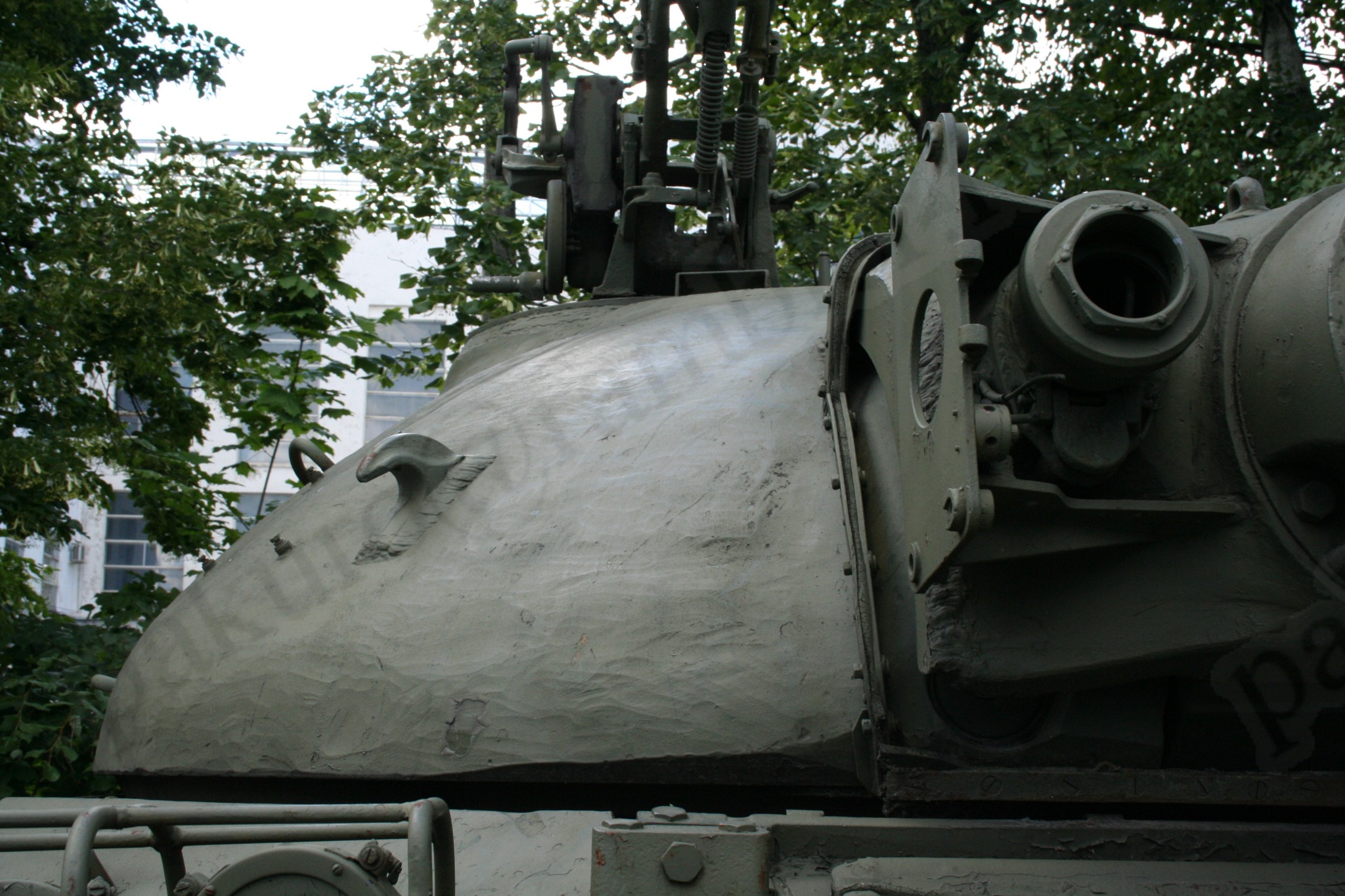 59.jpg