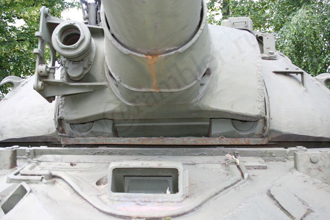 61.jpg