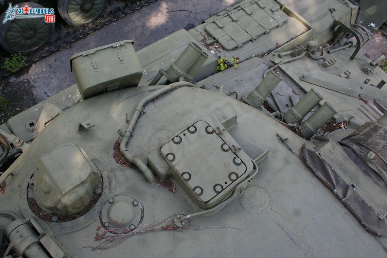 167.jpg