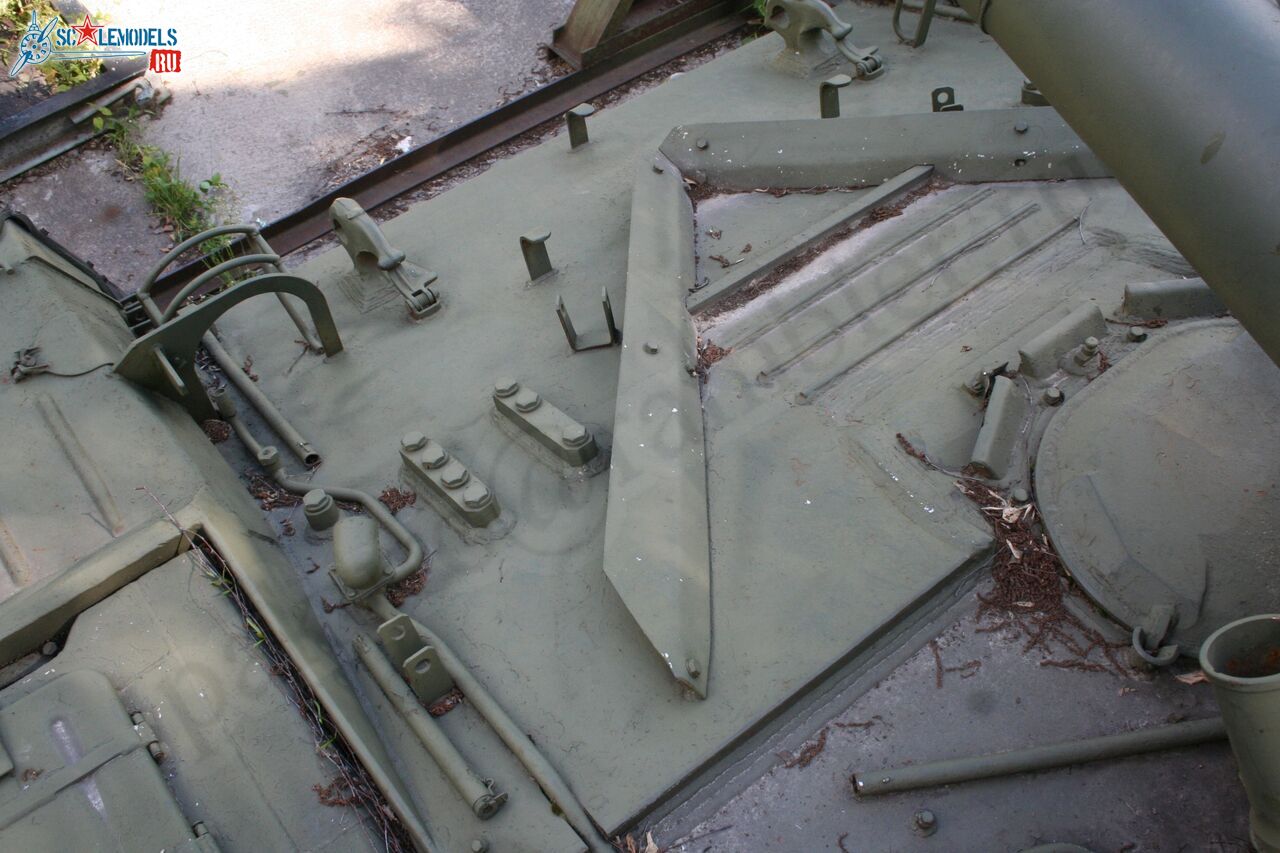 198.jpg