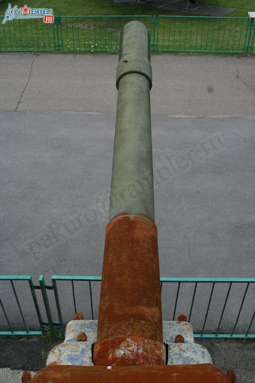 138.jpg