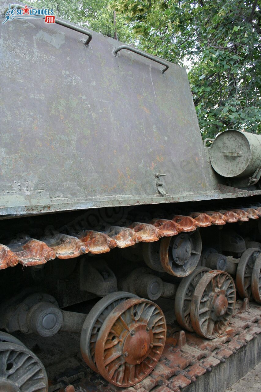 41.jpg