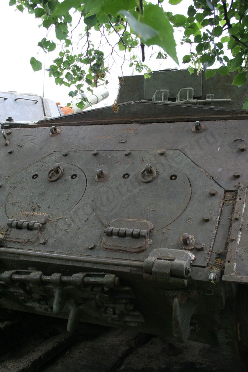 81.jpg