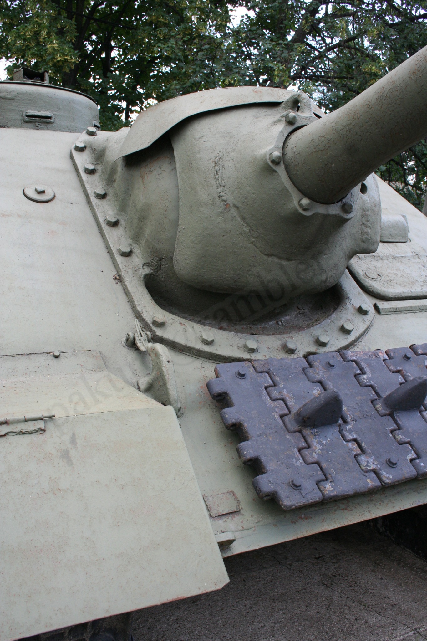 46.jpg