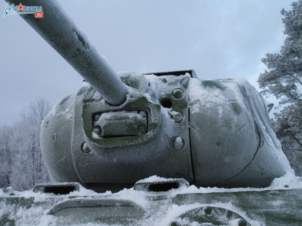 37.jpg